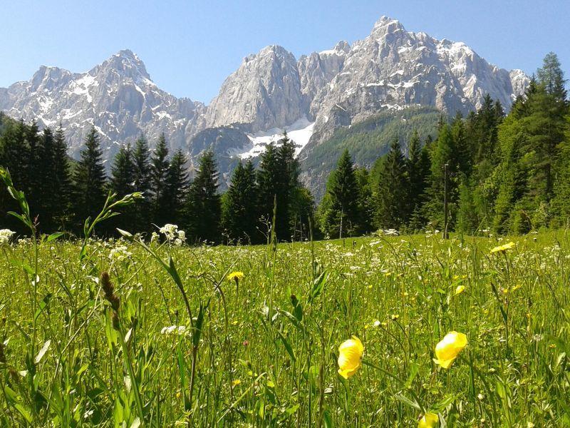 Apartmán House Neza Kranjska Gora Exteriér fotografie